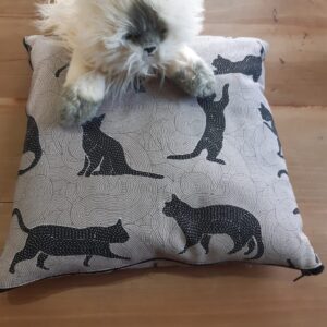 Coussin Transformable en plaid O'malley