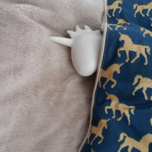licorne